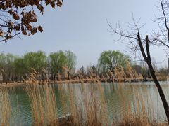-林栖谷森林康养度假区