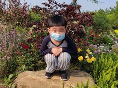 -上海长兴岛郊野公园