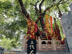 -大槐树寻根祭祖园