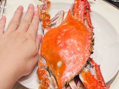 -环球港凯悦 · 享悦中餐厅