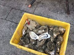-蛇口市场