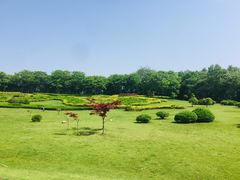 -宜兴龙背山森林公园