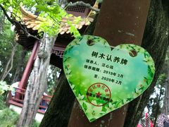 -嘉定紫藤园