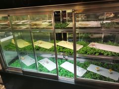 -格瑞欧海鲜自助烤肉火锅(光彩店)