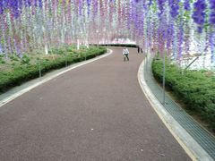-云幽谷旅游区