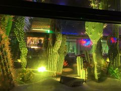 -贰麻酒馆(1912店)