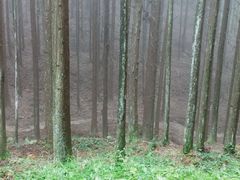 -山王坪喀斯特国家生态公园