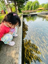 -青龙渔业旅游景区