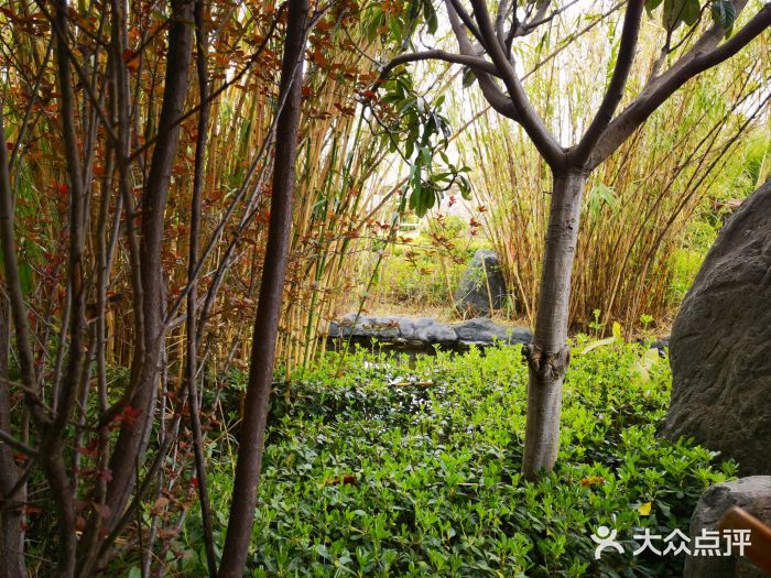 大理地热国图片