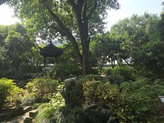 -上海醉白池公园