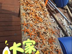 -蓝湾碧波·老字号·疍家非遗海上餐厅