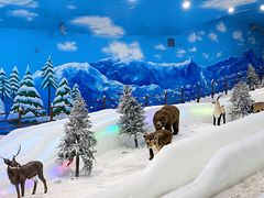 -世界之窗阿尔卑斯冰雪世界