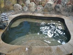 -悦隆庄温泉度假酒店