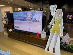 -Sony Store 索尼(来福士店)