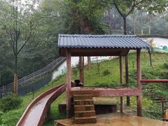 -中国大熊猫保护研究中心雅安碧峰峡基地