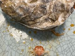 -蟹谢蒸鲜自助餐厅