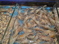 -加餐海鲜自助(宝龙一城店)