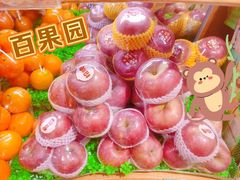 -百果园(大冲店)