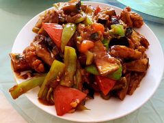 肉段烧茄子-十三陵山水雅园农家院