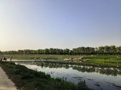 -洨河生态公园