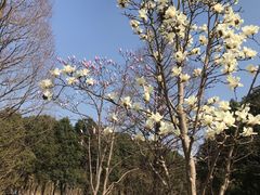 -南湖湿地公园