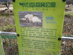 -长白岛森林公园