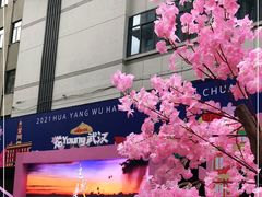 -武汉关码头(轮渡站)