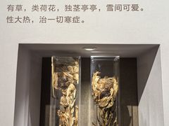 -北京中医药大学-中医药博物馆