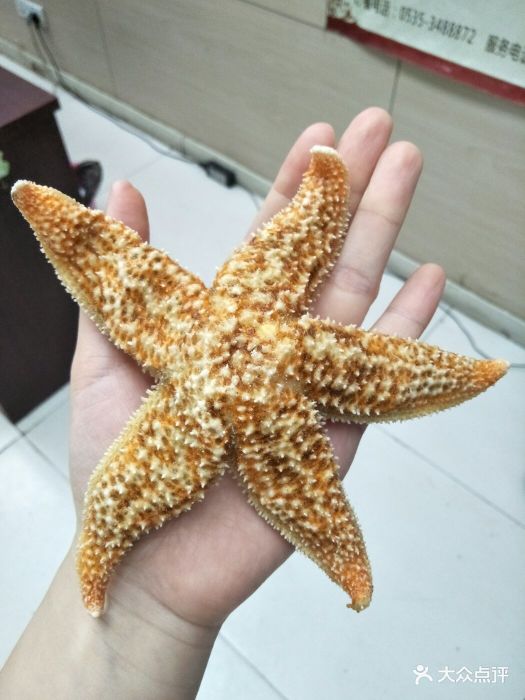 回味坊海鲜大咖海星图片 - 第2张