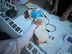 -中粮·祥云小镇