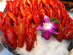 经典酒醉龙虾-红盔甲·小龙虾(天钥桥店)