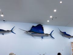 -深海中餐厅(国家海洋博物馆店)