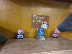 -猫猫幼稚园·撸猫·桌游·电玩