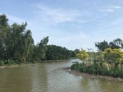 -大湾区中央湿地公园
