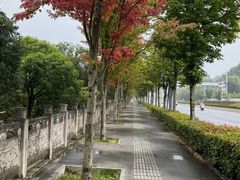 -贵阳市花溪国家城市湿地公园