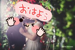 点击看大图 -艺匠摄影ARTIZ STUDIO(南京店)