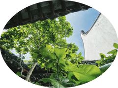 -上海醉白池公园