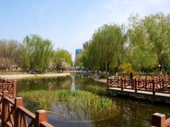-丰台科技园生态主题公园