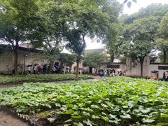 -绍兴鲁迅故里·沈园景区