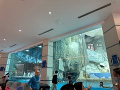 -帝企鹅自助餐厅•儿童岛•真企鹅(长隆企鹅酒店)