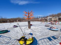 -优沃得自然教育农场·冰雪乐园·生日会·研学