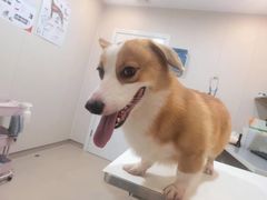 -立德动物医院·24小时中心(番禺区院区)