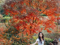 -田野绿世界