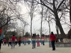 -西安市长乐公园