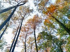 -西湖风景区-江洋畈生态公园