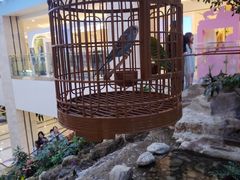 -赛格国际购物中心(小寨店)