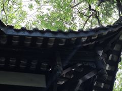 -大妙火锅·非物质文化遗产(东湖公园店)