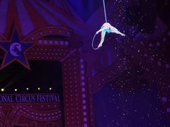 -珠海横琴长隆《卡卡虎奇遇记》