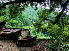 -杨家堂村