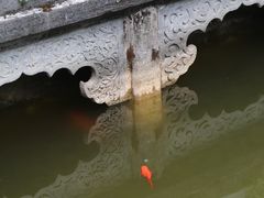 -报恩寺(平武县)